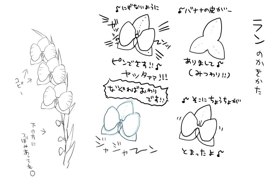 コスモスとかのアレ 