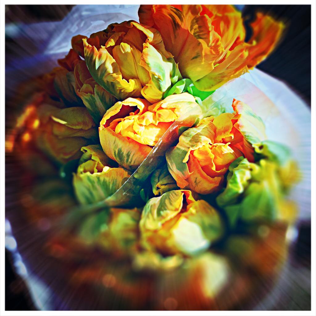 burfurtART's tweet photo. here you go. enjoy!!! #parrotflowerpower #tulip #spring #enjoythemoment http://t.co/TTRqvNbyVd