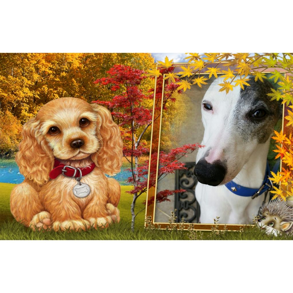 Sedgwick Mulder & I Wish Happy Friday 2   On 24th April is Sed\s 7th Bday 