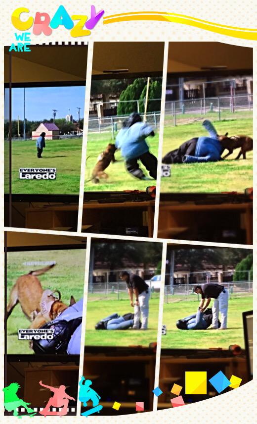 raquelelekes's tweet photo. A MUST WATCH this Sunday 11am on ABCLaredo. #k9TrainingUnit #EveryonesLaredo #GoodTimes! http://t.co/Jik5PTR75h