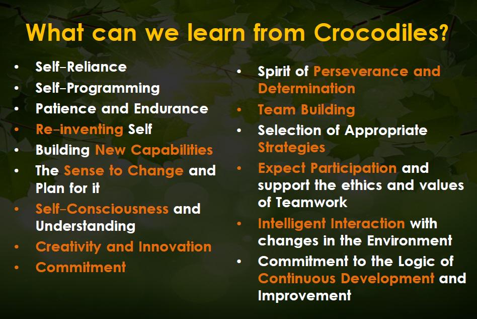 DrAliAlKhouri's tweet photo. Why do we need to search 4 Crocodiles in our organisations?
http://t.co/nf3b4fW5p9 
#organizationallearning
#learning http://t.co/zJrVEq0TLH