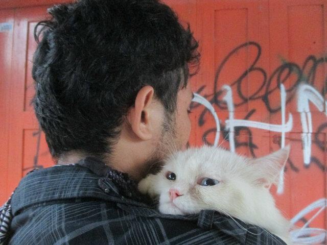 HadieHello's tweet photo. Kangen moru..setelah putus malah di bawa pergi...☹ ohh tuhann,gak kuat http://t.co/zgAxvshQHa