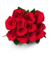 SurendraTailorS's tweet photo. Gifts, Flowers and cake delivery in Jaipur http://t.co/S3aLor1hLC  #flowers #gifts #cake #teddy http://t.co/ZqNzIw3E9z