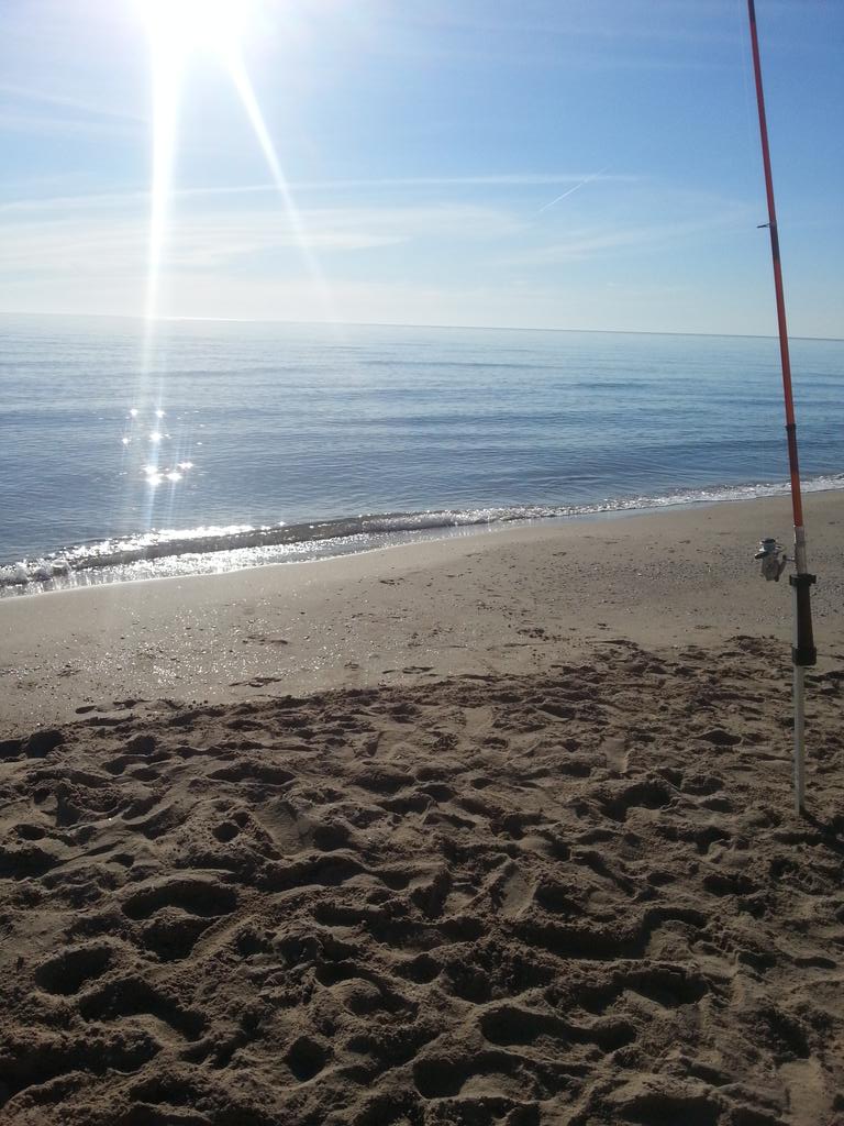 nandobarrachina's tweet image. Pasada de dia #mareny