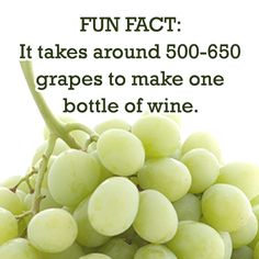 KovsieX's tweet image. Facts about wine #SedimentWineTour #GettingEducated
