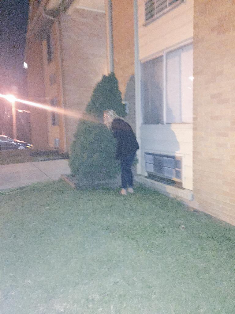allycemorgan's tweet photo. CAUTION TREVECCA STUDENTS: crazy blonde spotted hiding in bushes on campus. #beware #crazycasey http://t.co/rq4L6P0Md3