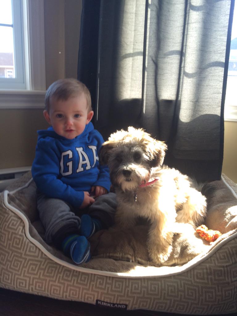 TJ_93's tweet photo. Mason &amp; Lola ❤️ http://t.co/5EBz9xxdY4