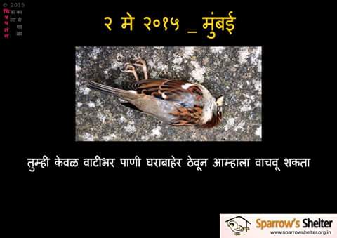 savebird's tweet photo. http://t.co/IdSBJMMROD