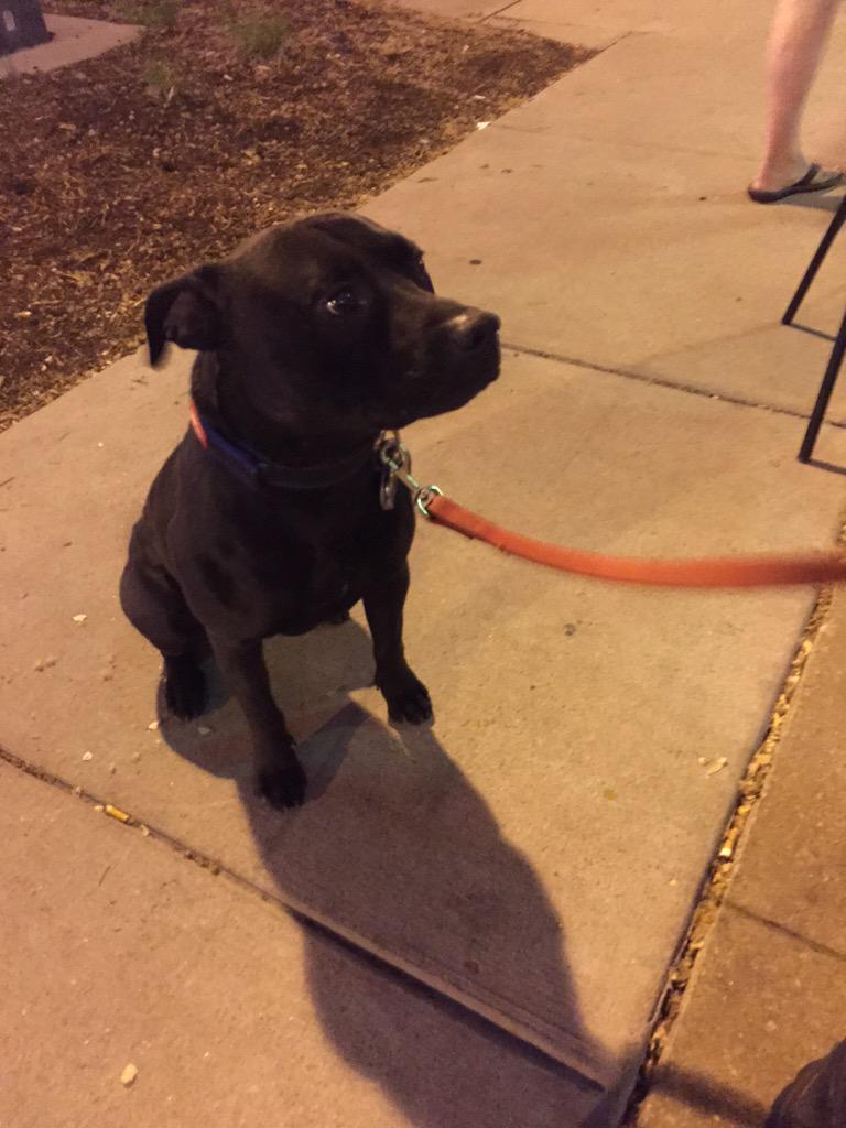 DOJSuedFerguson's tweet image. #FergusonToBaltimore #FergusonIsBaltimore #Ferguson2Baltimore #Baltimore Die in STL 3 Hour protest, no arrests.