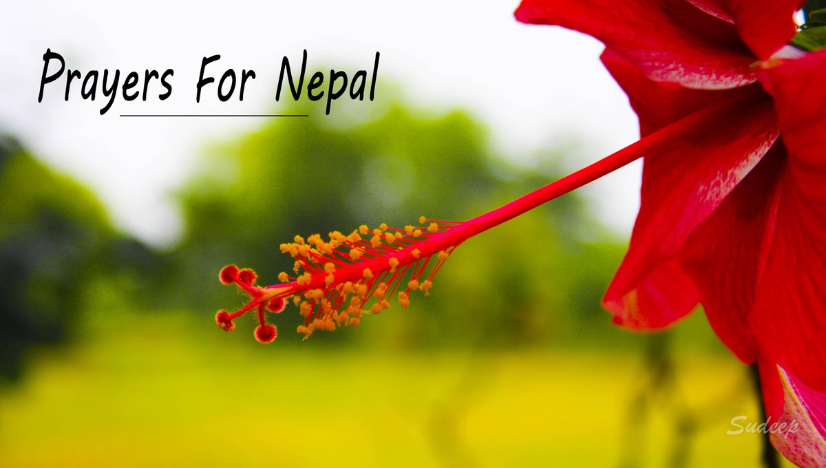 sudeepregmi's tweet photo. Let's unite and pray for Nepal in this difficult situation. @reetpoudel @bbekd @brb_laaldhwoj http://t.co/doMvqKBmNc