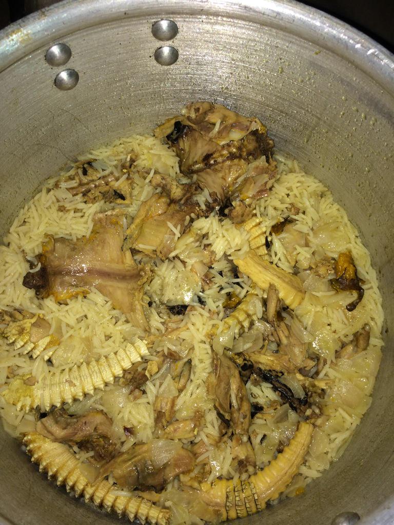 عالم الكبسة