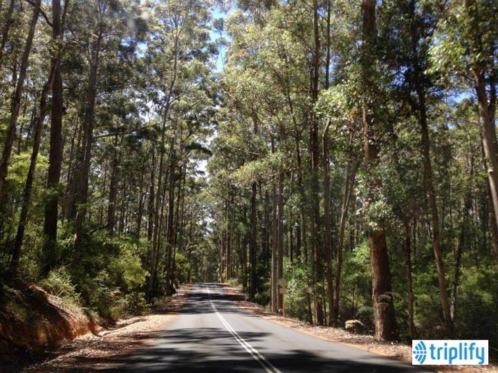 Gday_UK_'s tweet photo. #Explore #WesternAustralia through #Triplify #AmplifyYouTrip http://t.co/FjEanmjyMp http://t.co/uhQ62LUVt4