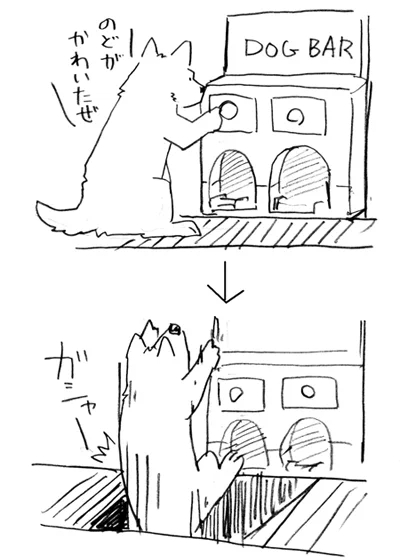 @seno1365 