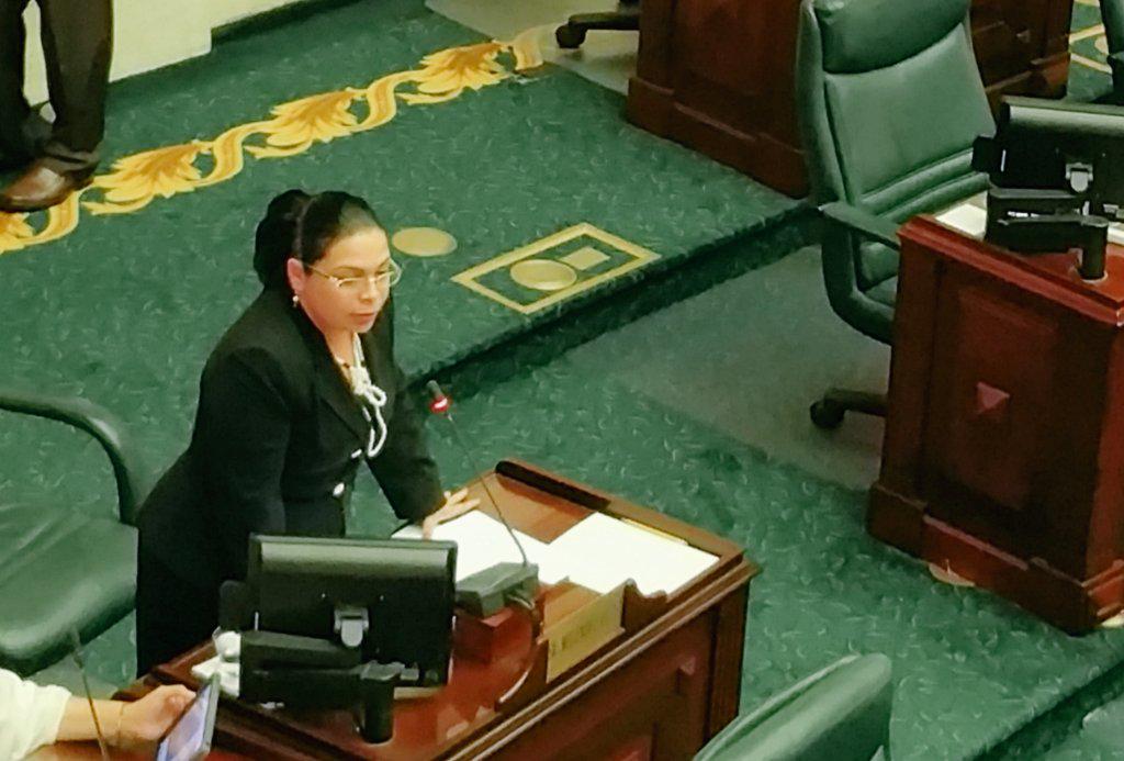 CamaraConPR's tweet photo. Asume turno sobre el #PC2329 la Rep. @YashiraMLebron. http://t.co/lxBCnqzbLs #Sesión http://t.co/cPsvBMXwlr