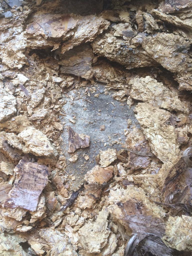 lukethedampguy's tweet photo. No membrane on screed + chipboard then tiles!!! = dry rot! Look at this cowboy! #cowboybuilders poor people! http://t.co/17rAsd6REn