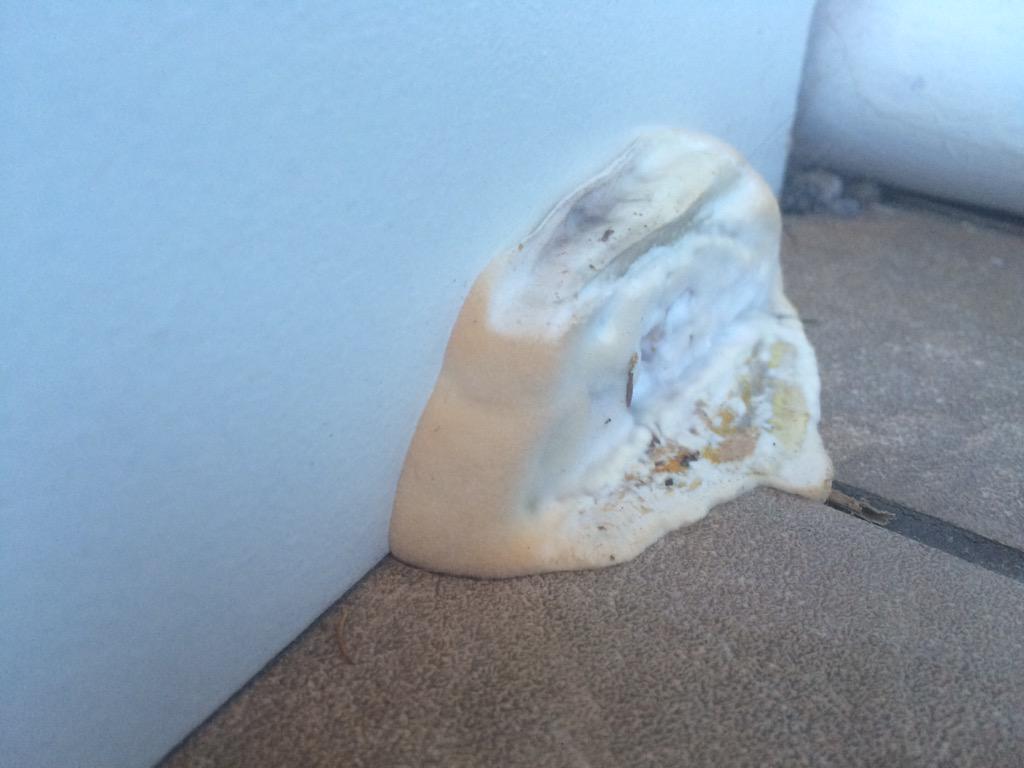 lukethedampguy's tweet photo. No membrane on screed + chipboard then tiles!!! = dry rot! Look at this cowboy! #cowboybuilders poor people! http://t.co/17rAsd6REn