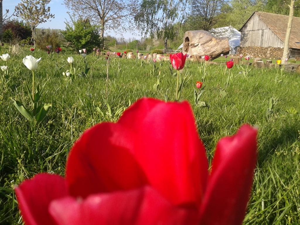 ElfishBeauty's tweet photo. Mornin' kitties! A new lovely day is here to cheer us up! Have fun! <3 http://t.co/FXWIoHfMNu