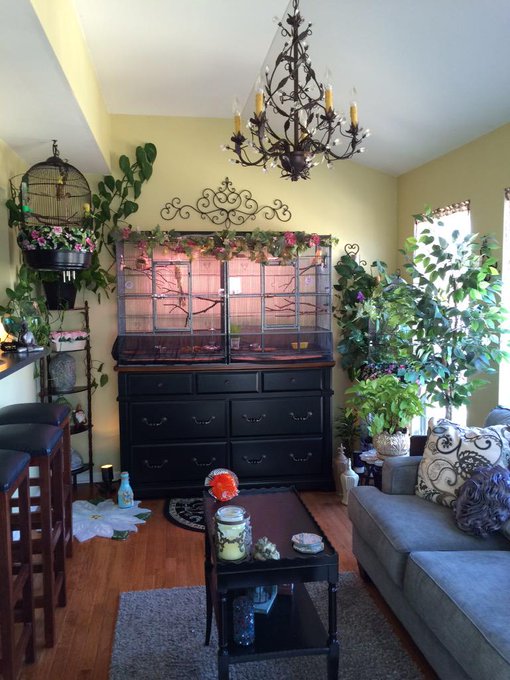 My finches had babies And they look so cute ❤️❤️❤️😞 http://t.co/dN5RKnSPMJ<a href="/tag/lqsa"class="tags"><span>#lqsa</span></a>