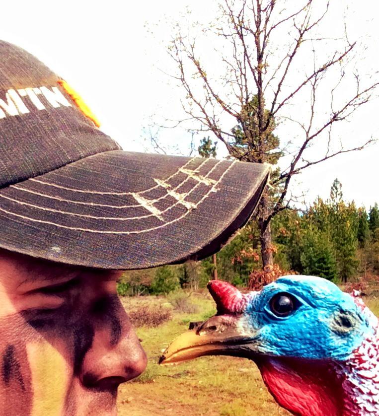 DieHardNW's tweet photo. @SouthernChaosTV @mlbhunter @BoogerBottom @getMTNOPS --fun read about an epic turkey season

https://t.co/wYywQmuymW http://t.co/q9LiP5fWqU