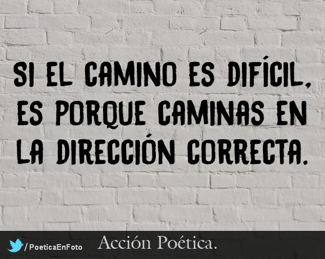 patadademulamx's tweet photo. http://t.co/ztOxbdLcTX