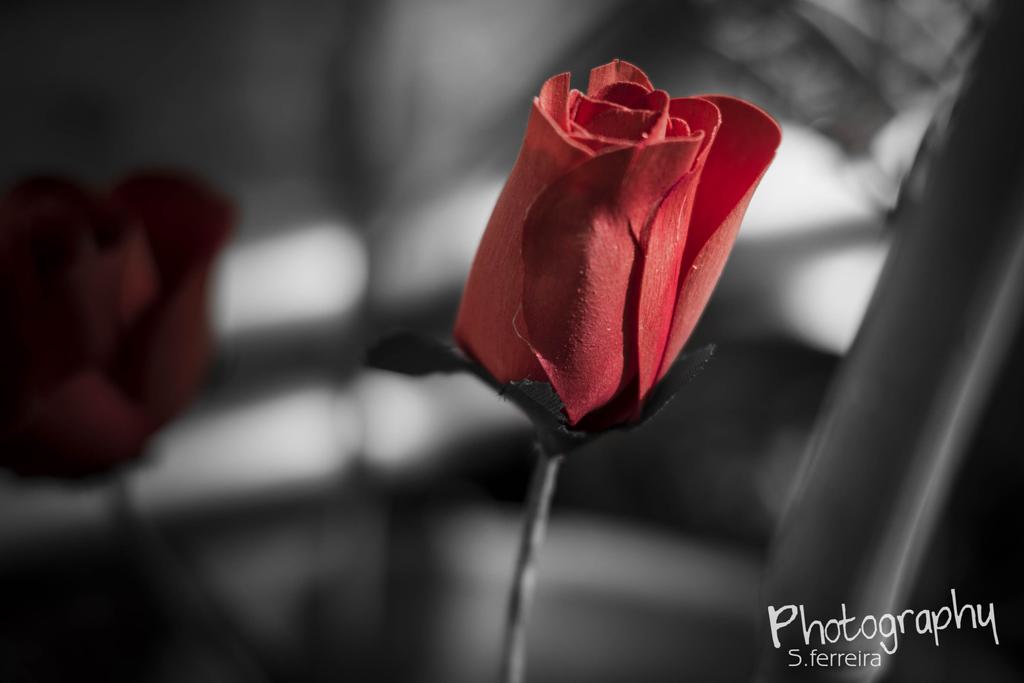 SomostuFoto's tweet photo. Tus manos me acarician, me conocen, me hacen estremecer. Feliz día!! 😉 http://t.co/U3X960myAi