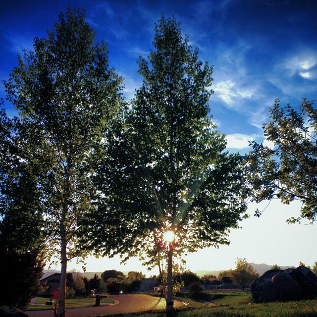 mrtheTrain's tweet image. Gorgeous Cache Valley Spring Day
#cachevalleyutah #watchtheclouds #listentothetrees #stopandsmelltheflowers