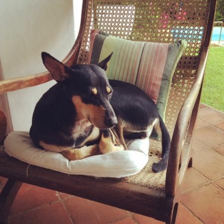 Templeberg's tweet photo. What are your plans for the long weekend? #SriLanka #Vesakweekend #holiday http://t.co/WcPK0lxwoQ