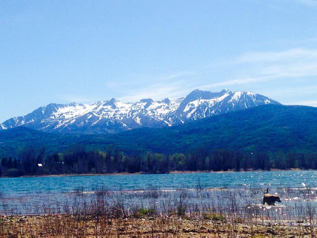 ProductionWS's tweet image. Good day!