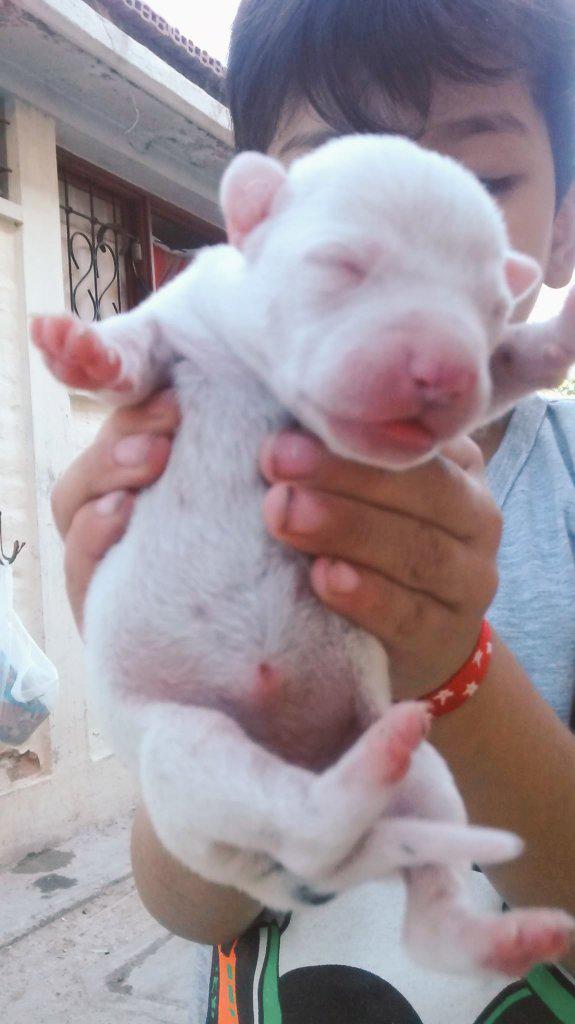 maxiassi's tweet photo. Chiquitita :3 http://t.co/zdwaU3zfds