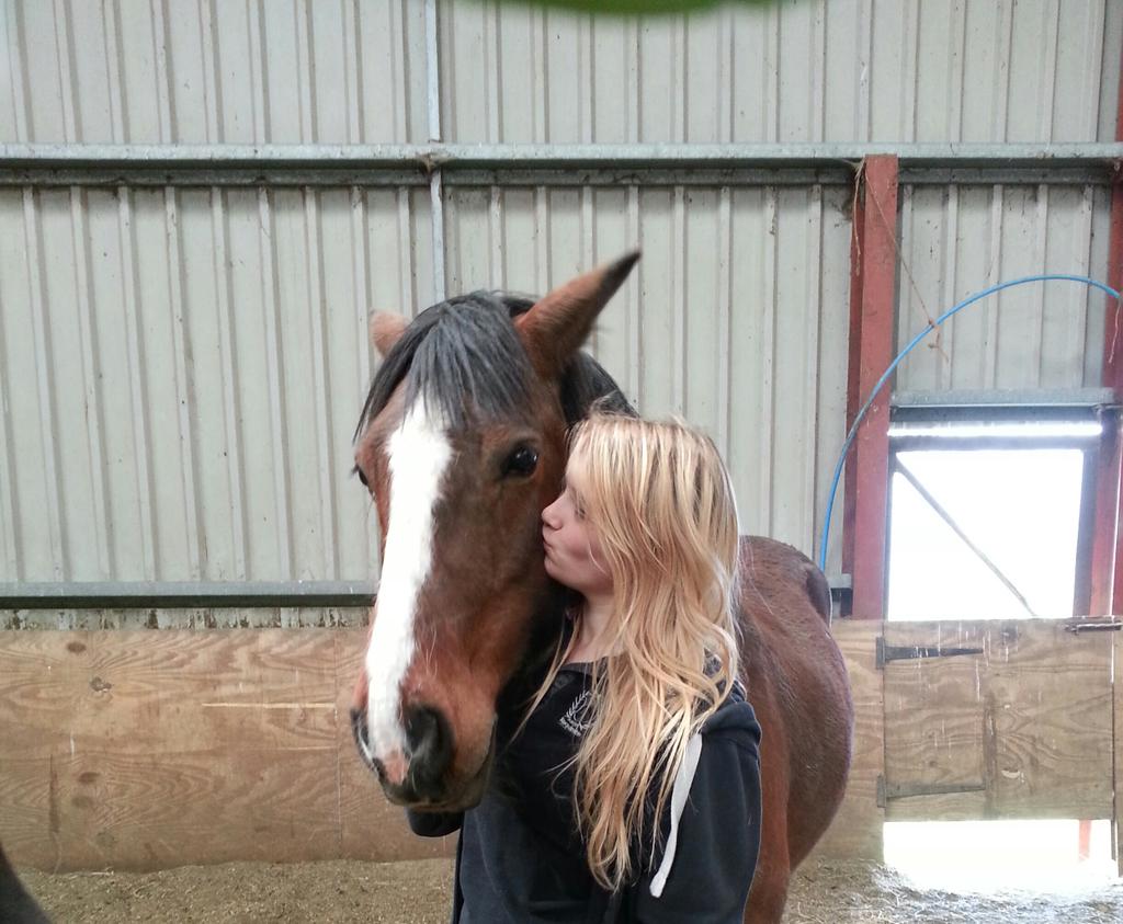 PloppyH's tweet image. My baby