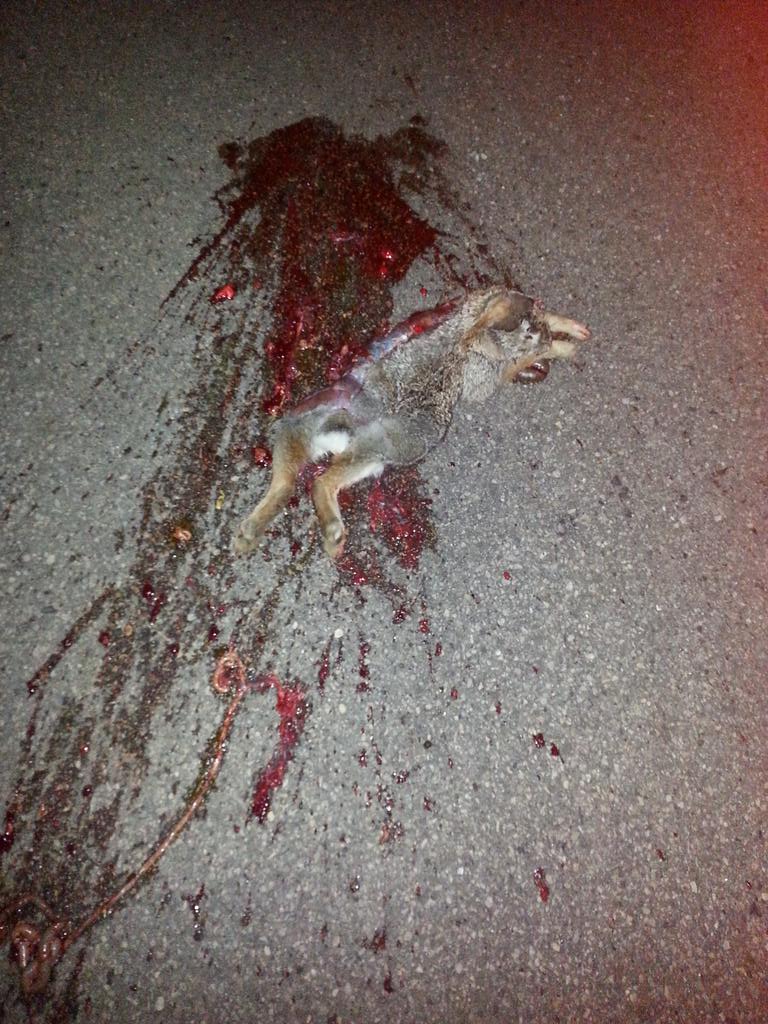 shadylady12's tweet photo. Zigged when he should of zagged #10points http://t.co/VafqE4kWrW