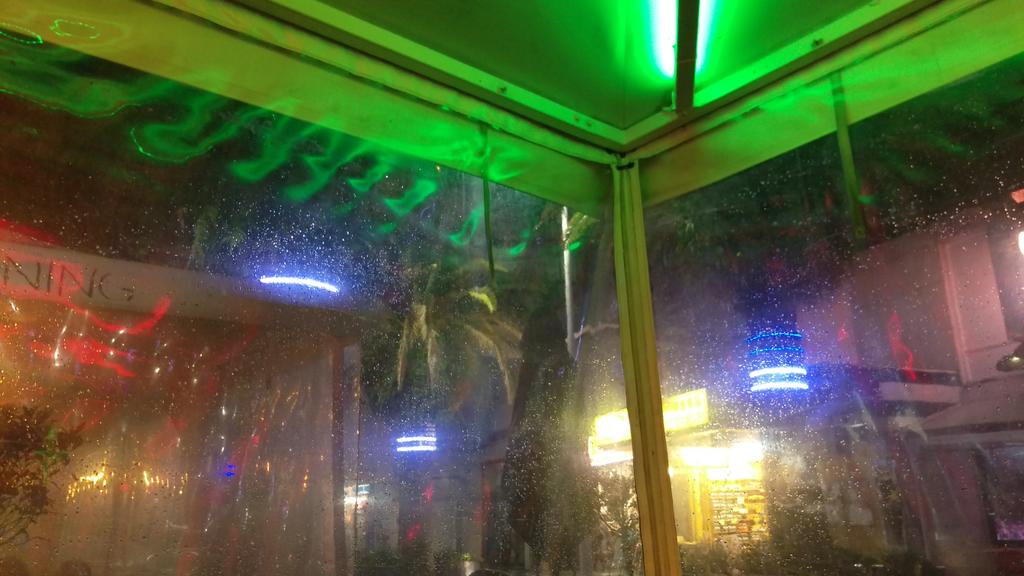 eiboKwuff's tweet image. #FutureTrees #ThurDU