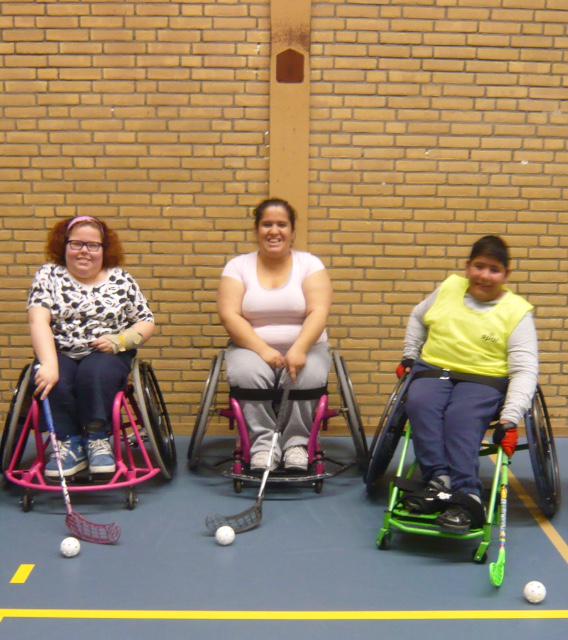 Haag_88's tweet photo. Dit zijn de rolstoelhockeyers van Haag88 http://t.co/PW0mbZlID8