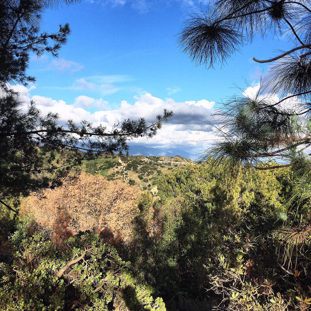 instAgreeApp's tweet photo. #hike in #Hollywood. http://t.co/IKZdW7WQVB