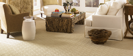 zimdailydeals's tweet photo. $150 Worth Of Carpet Cleaning Deal for $49 by Carpet Kings Zimbabwe 

http://t.co/YNqrgFOaw8 http://t.co/YHFi7xjMJ1