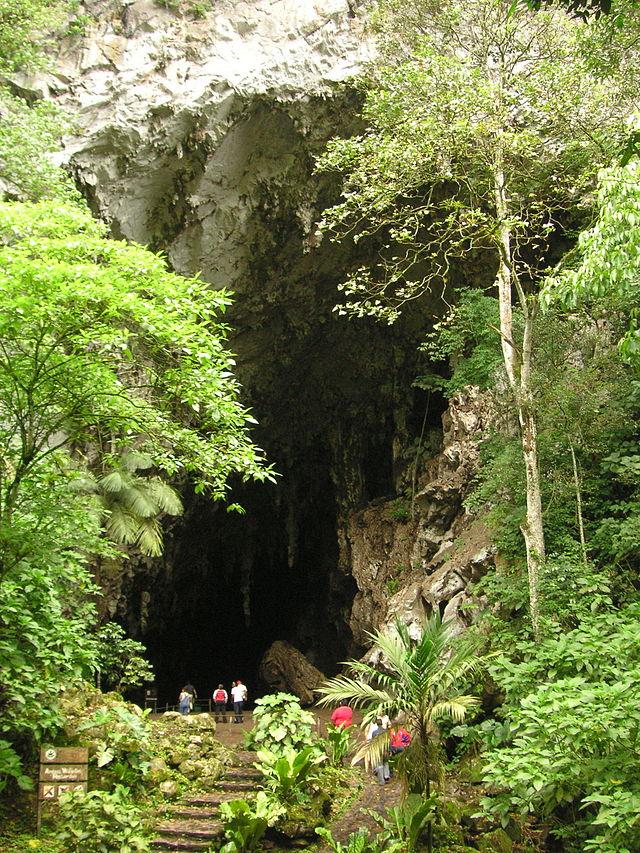 PosadaLaCasona's tweet photo. Parque nacional El Guácharo, conozcamos parte de la historia de nuestro jardín de oriente: http://t.co/Ow6JL7V8GY http://t.co/Gh7BGeqtoG