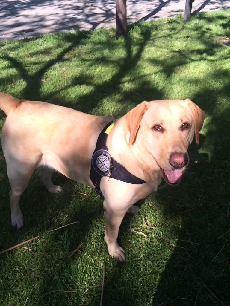 Lo mejor del mundo....