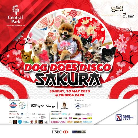 CentralParkMall's tweet photo. woof... woooff... DOG DOES DISCO
10th of May 2015
#DogDoesDisco2015 #DDDsakura @dogdoesdisco_id http://t.co/puMlXcQx95
