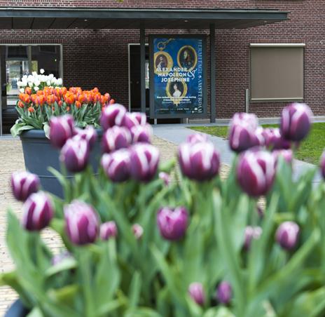 Beautiful tulips in our garden <a href="/dehermitage/">Hermitage Amsterdam</a> 
Photo Janiek Dam