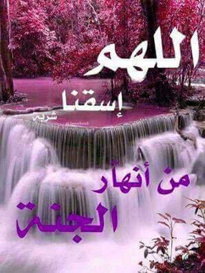 jtldlgdld's tweet photo. @adelmfakeih السلام عليكم http://t.co/Y0dsy71iVM