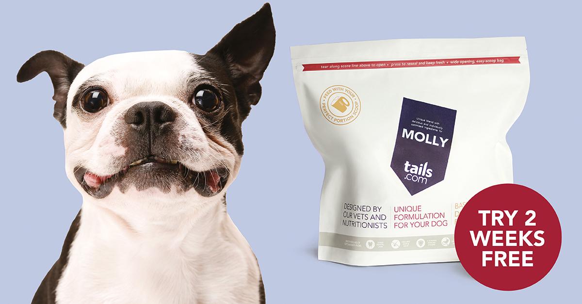 Tails.com tweet media