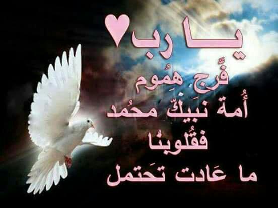 jtldlgdld's tweet photo. http://t.co/uSV5iLZ2vf
