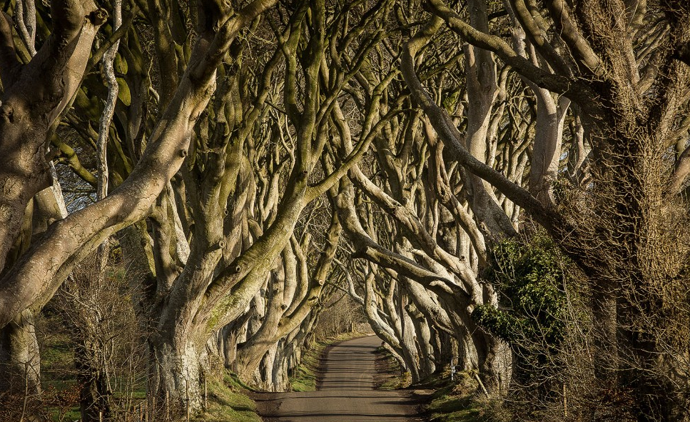RoadyGuides's tweet photo. Driving in Ireland puts you on the road to discovery | http://t.co/FCiJxIZ0YY #ireland #Nireland #travel #gpstour http://t.co/HlWiMmEYEg