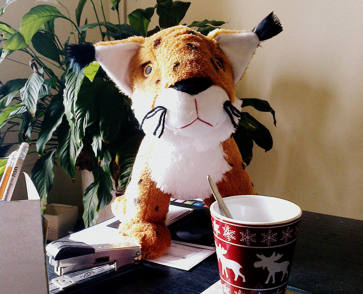 Ryś EDFard, band hero Kogeneracji, odwiedził nasze biuro. Promujemy razem Ciepło sieciowe.