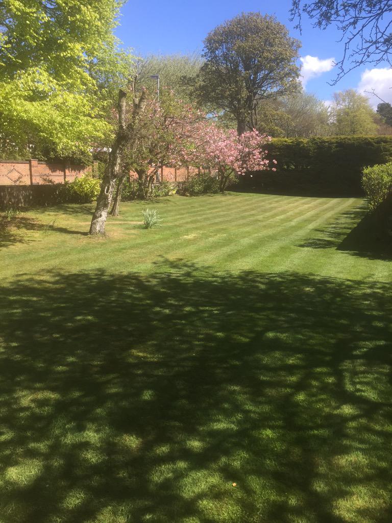 AWPGardens's tweet photo. The sun is shining as I do one of my garden maintenance on Harrington Road http://t.co/Vw1PLOopf2