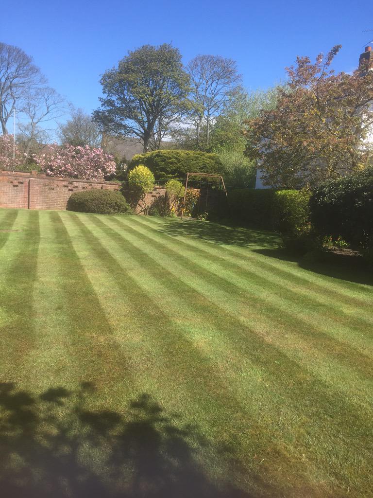 AWPGardens's tweet photo. The sun is shining as I do one of my garden maintenance on Harrington Road http://t.co/Vw1PLOopf2