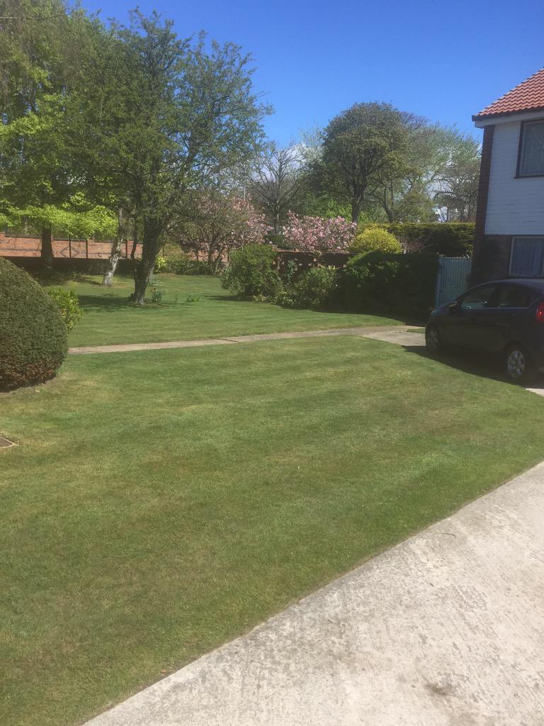 AWPGardens's tweet photo. The sun is shining as I do one of my garden maintenance on Harrington Road http://t.co/Vw1PLOopf2
