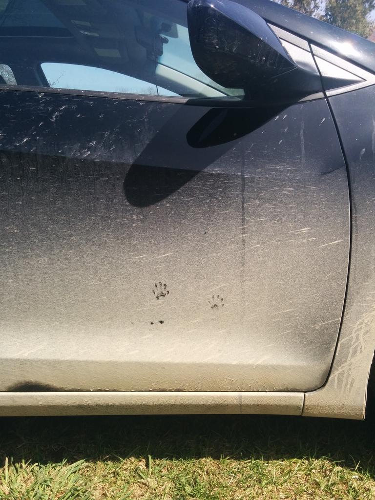 MattJAleksa's tweet photo. @rob_routledge Sir, please put your paws on the vehicle. #nrt255 #sneaky #raccoons http://t.co/vfEwOvCkFD