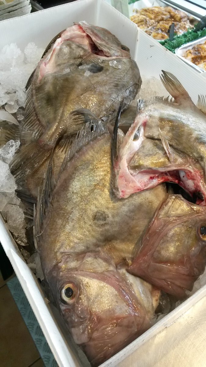 shrig48's tweet photo. straight from the boat to the window today john dory and dover soles http://t.co/Bz76MWVwrc