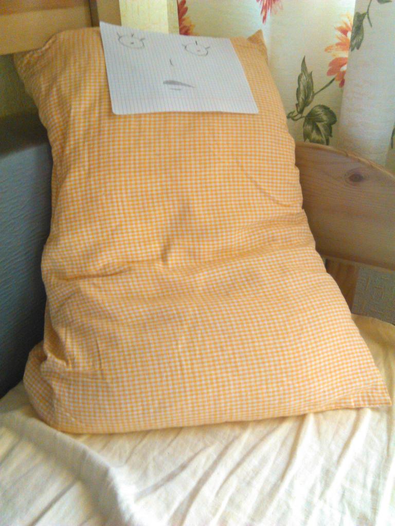 firsova_3's tweet photo. The face of my pillow when I call her Gerard http://t.co/HcnHlVDbKL
